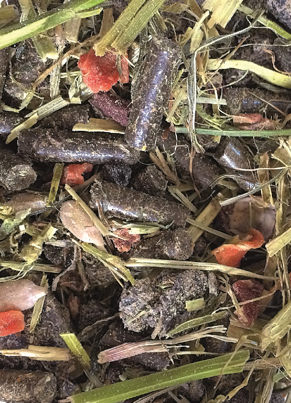 Tierfuttermischung Mischung aus getrocknetem Gras, kleinen Pellets und roten Stückchen, möglicherweise Tierfutter oder Futterzusatz.
