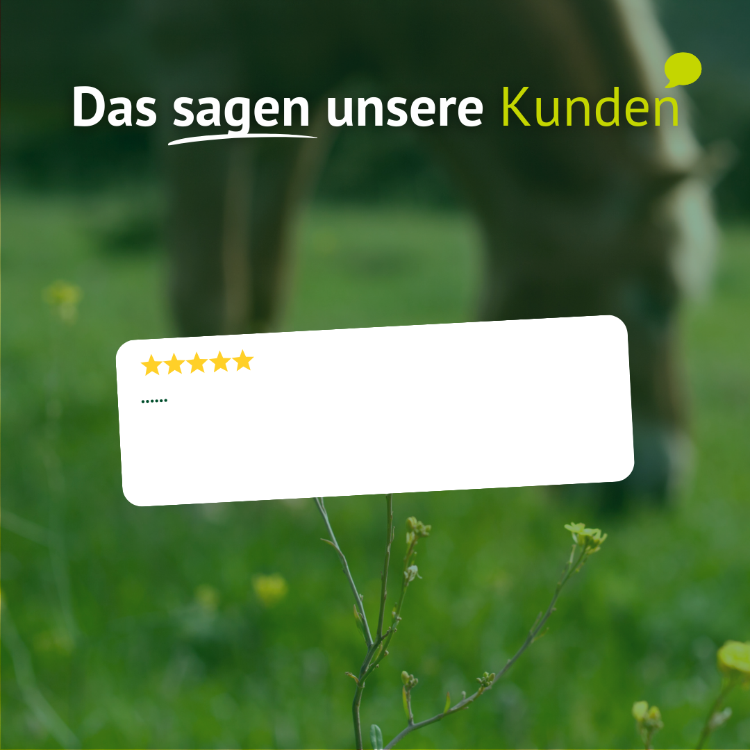 Kundenbewertung Platzhalter vor Pferd auf grüner Wiese für LEXA Pferdefutter