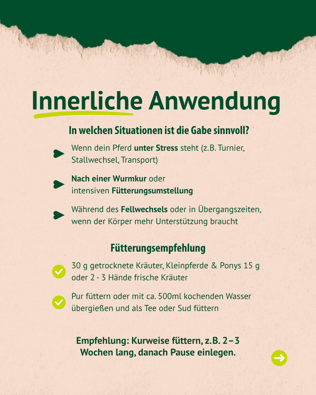 Beschreibung der Anwendung der Ringelblume Beschreibung der Anwendung der Ringelblume