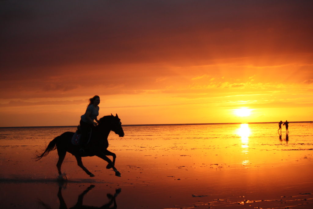 Reiter am Strand bei Sonnenuntergang Elektrolyten paard: wanneer voeren?