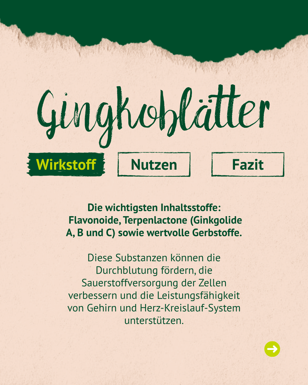 Mensch füttert Pferd mit Heu Ein Mensch füttert ein Pferd mit Heu in der Natur.