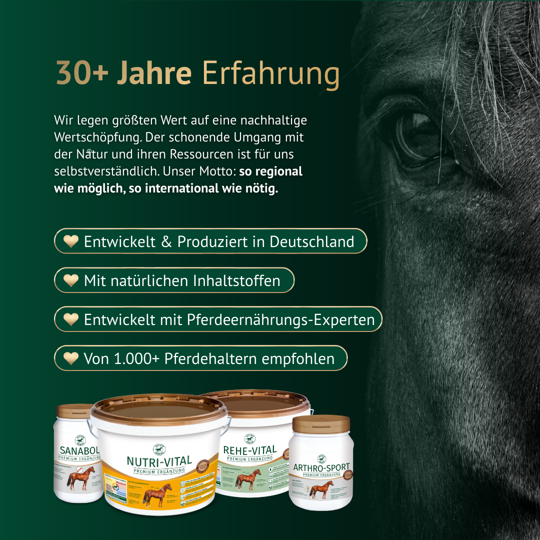 30+ Jahre Erfahrung – ATCOM Mineralfutter entwickelt und produziert in Deutschland, von Pferdehaltern empfohlen