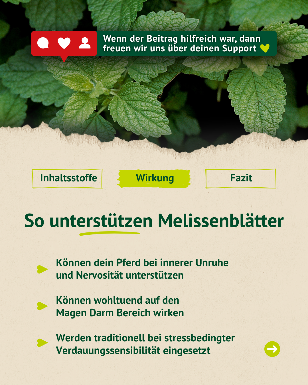Infografik zur Wirkung von Melissenblättern bei Pferden mit Stichpunkten zu innerer Unruhe, Nervosität und stressbedingter Verdauungssensibilität.
