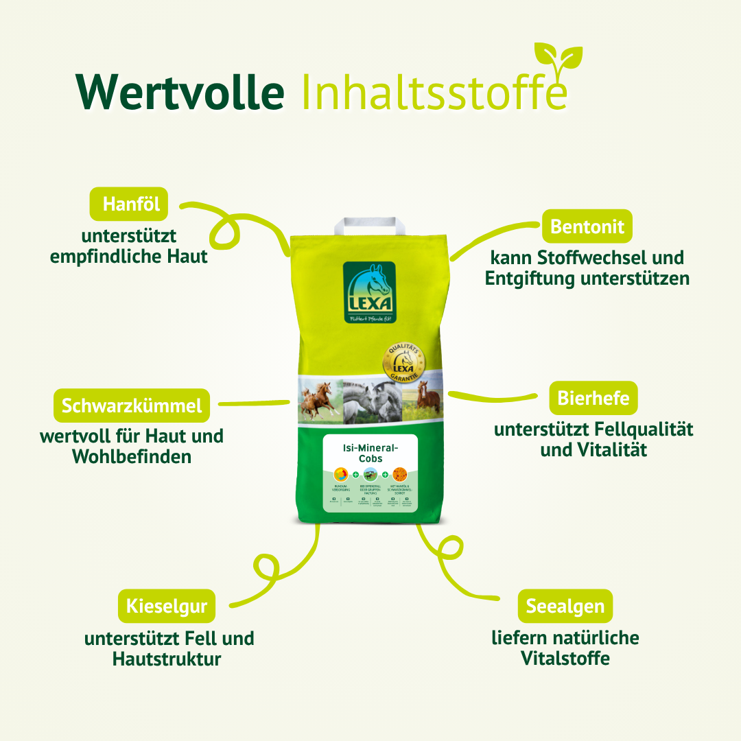 Wertvolle Inhaltsstoffe der LEXA Isi-Mineral-Cobs im Überblick