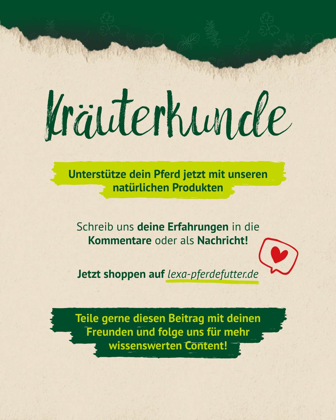 Abschlussgrafik der Kräuterkunde mit Aufruf zum Kommentieren, Teilen und Shoppen natürlicher Produkte für Pferde.