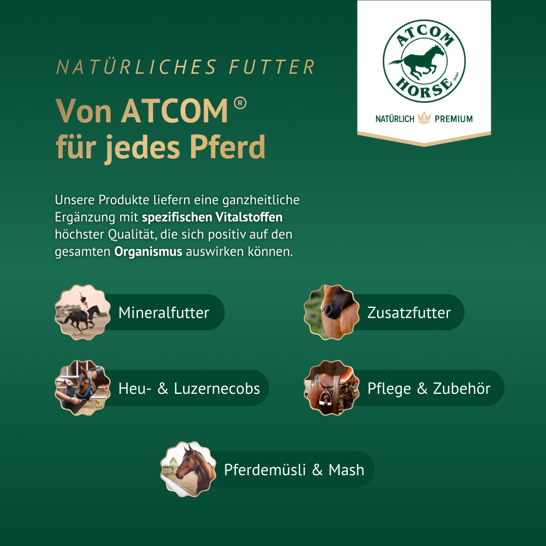 ATCOM Horse Produktübersicht mit Mineralfutter, Zusatzfutter und Pflegeprodukten für Pferde