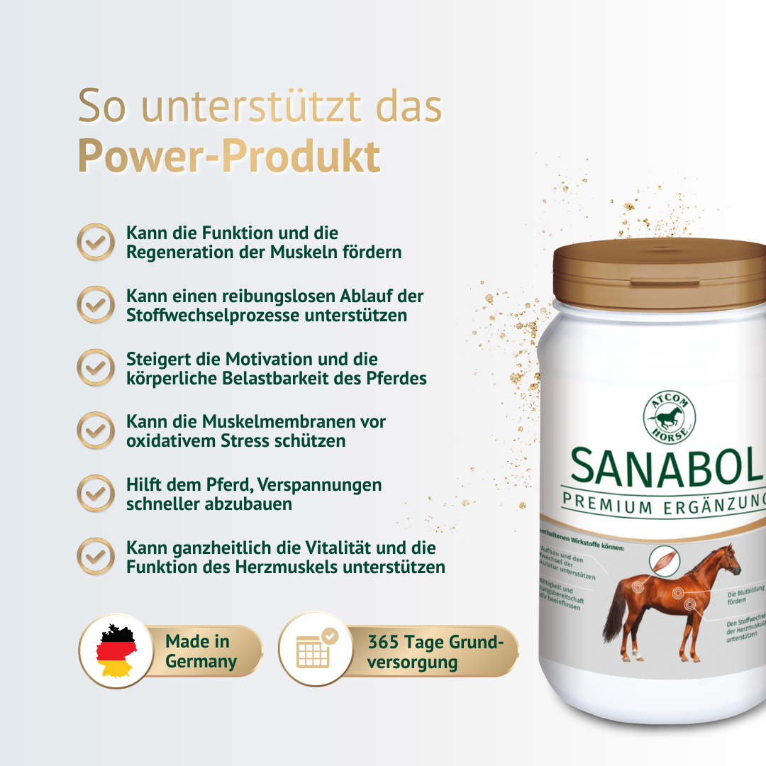 Infografik zur Wirkung von ATCOM Sanabol – Unterstützung der Muskelregeneration, des Stoffwechsels und der körperlichen Belastbarkeit