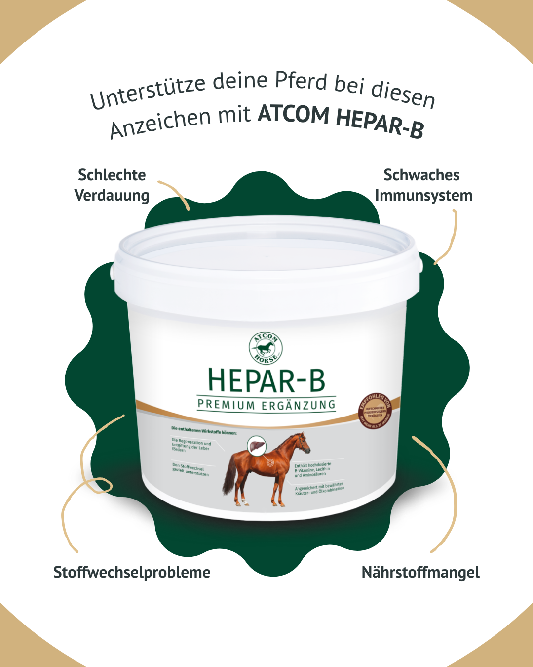 Übersichtsgrafik zu Anzeichen für den Einsatz von HEPAR-B, wie schlechte Verdauung, Stoffwechselprobleme, Nährstoffmangel und schwaches Immunsystem.