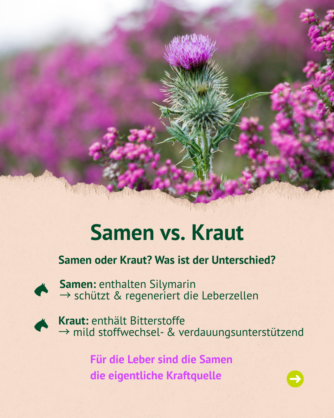 Bild mit Text und Foto