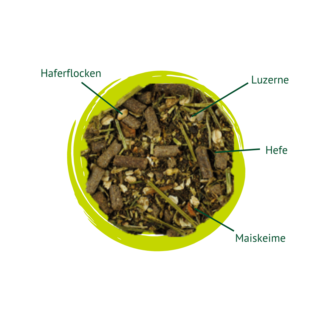 Struktur Prebiotic Beschreibung