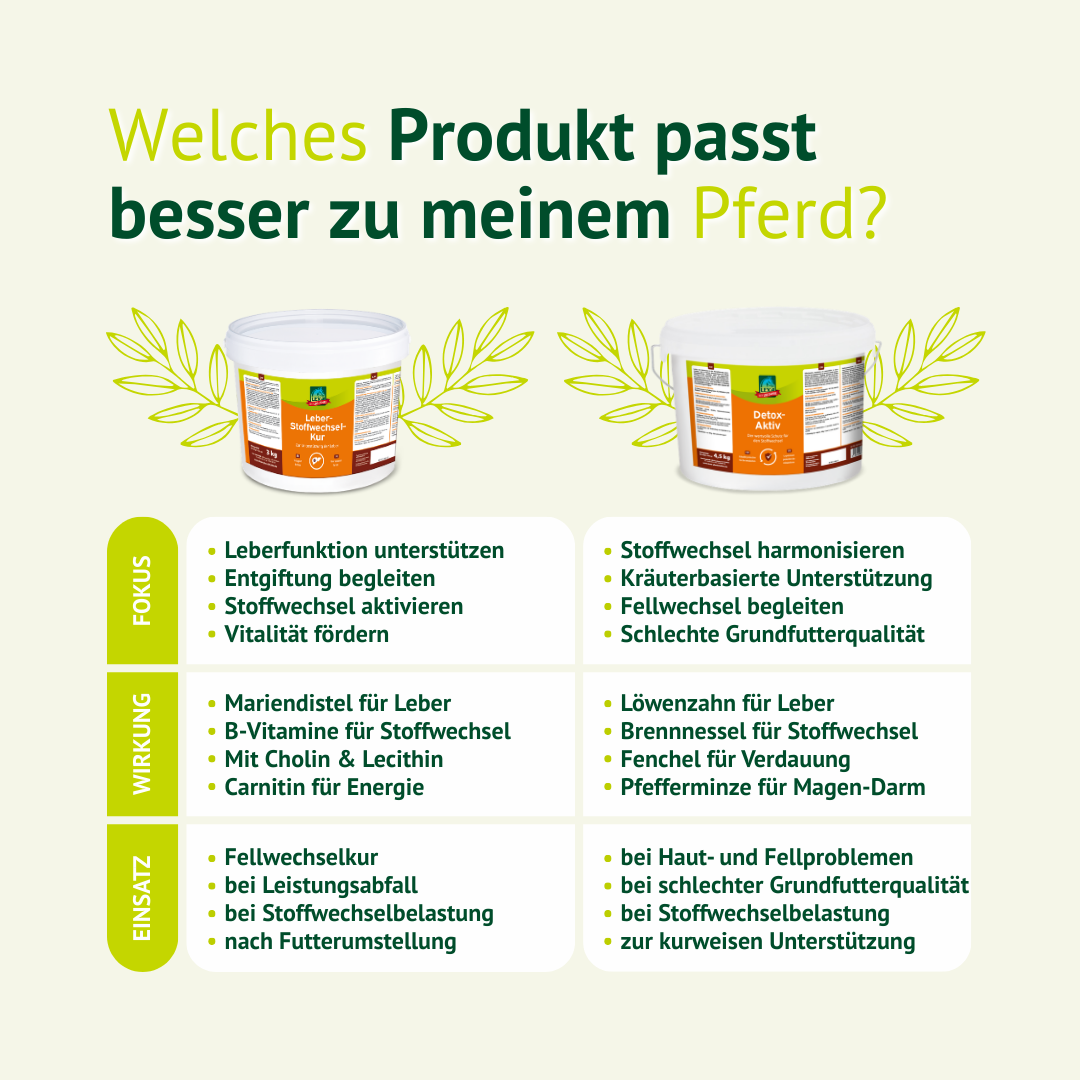 Produktvergleich zur Auswahl des passenden LEXA Zusatzfutters für Pferde mit Fokus auf Leberfunktion, Stoffwechsel und Fellwechsel.