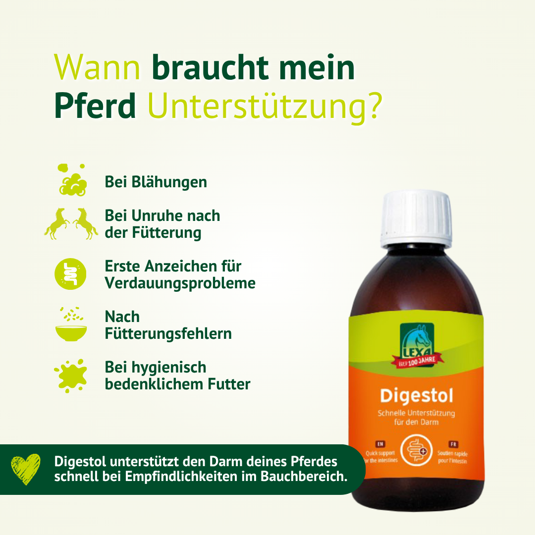 LEXA Digestol für Pferde bei Blähungen, Unruhe nach der Fütterung und ersten Anzeichen von Verdauungsproblemen.
